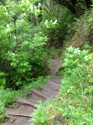 More steep, winding steps.