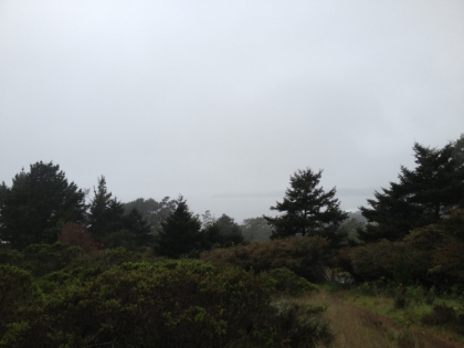 First glimpse of the Pacific Ocean. It would have been visible much earlier had it not been so foggy.
