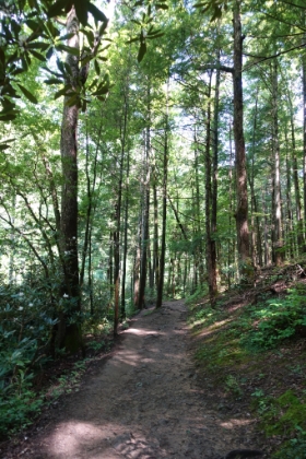 The Abrams Falls trail is mostly wide double-track and gets really crowded in the summer. But it is green and gorgeous.