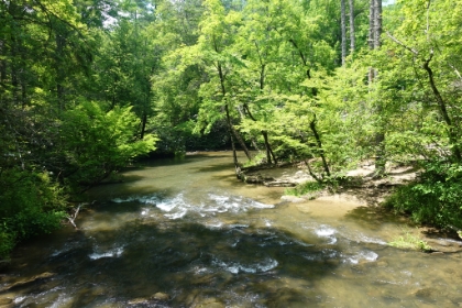 Heading back now across Abrahms Creek. Ready for my next adventure. Between the snake, bear, and waterfall, I'd say the trip was off to a great start!