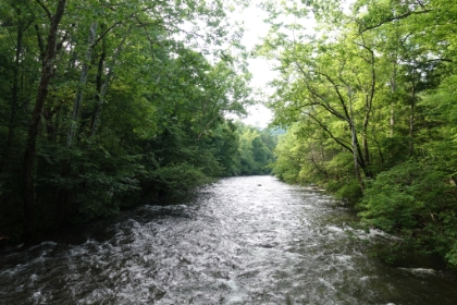 The drive into the park from Townsend is gorgeous with river crossings and endless green.