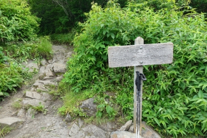 "Closely Control Children". Easier said then done!