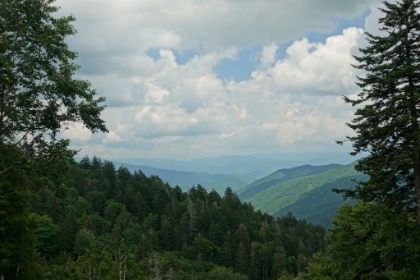 Nice views from Newfound Gap.