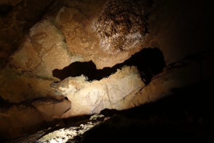 The "bear" formation.