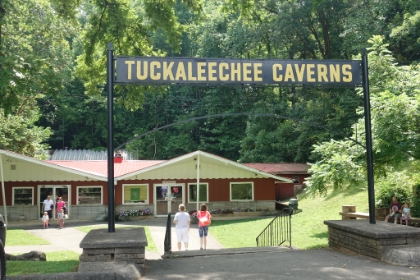 The Tuckaleechee Cavern was discovered by 6 and 8 year old brothers almost 100 years ago. They kept the caves a secret through their teen years, then went off to WWII, then came back and decided to try to make a living off the caverns. They saved up money then bought the land and the mineral rights for everything below the surface. The caverns are still a family business today.