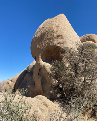 Next stop was Skull Rock, one of the most popular spots in JTNP.