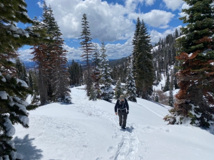 We decide to give the Ridge Lakes trail a try. Snowshoes were recommended, but we only had our YakTrax, so those would have to do.