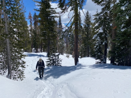 The trail starts climbing fast. It was only supposed to be 2.2 miles round trip. That was definitely a bogus number!