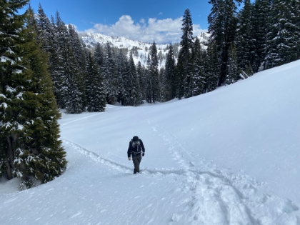 Perfect snow trekking conditions.
