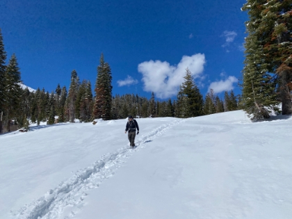 Almost back down to the trailhead.