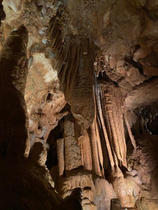 Another look at some ceiling formations. You can see some of the stalactites that were broken off with baseball bats by rival cave owners during the "Kentucky Cave Wars".