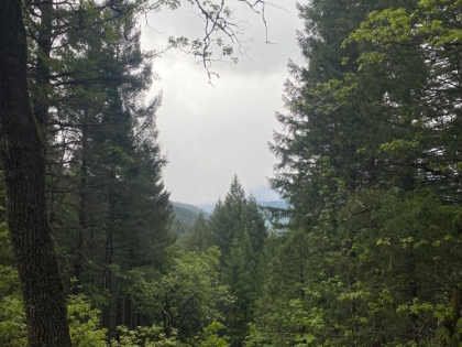 There's supposed to be a great view of Mt. Shasta there somewhere!