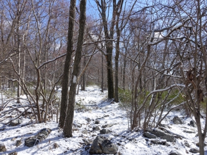 The Appalachian Trail is marked with white blazes.