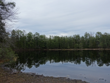 I made it back to the traihead with plenty of time left in the day, so I decided to find some more trail. I ended-up heading out to Pakim Pond in Brendan T. Byrne State Forest.