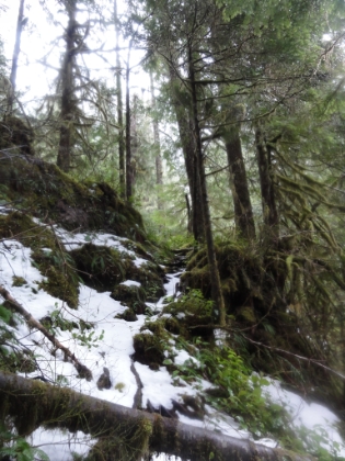 The epic singletrack is starting to get slick with increasing snow cover. And my camera is starting to fog-up with condensation from the increasingly heavy rain.