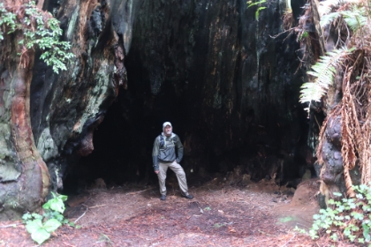 Dad's photo of me hanging out in the gaping burnt out core of a big tree. The scale is just massive.