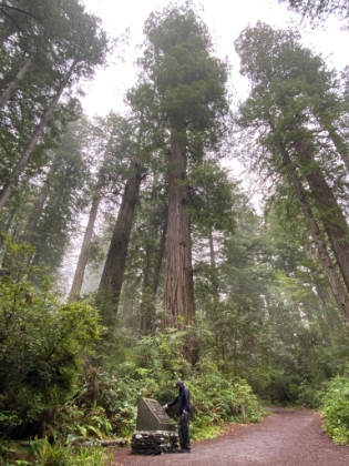 Dad checking out the memorial plaque where Lady Johnson gave her speech.