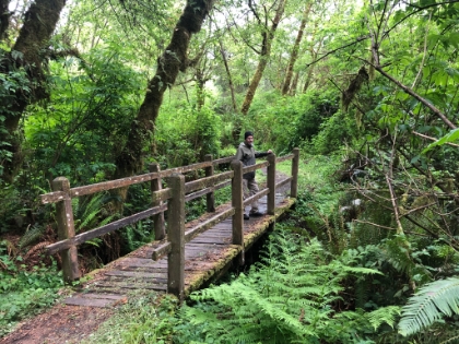 Heading back now just before dark. We drive in to Eureka for the night and have a delicious Steelhead Trout dinner.