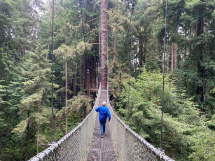 The suspension bridges were especially fun.