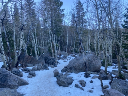 Almost back to the trailhead now and making good time. I think these are Aspen trees bare in the winter? They remind me a little of the Lenga forests in Patagonia. End to an amazing hike, and I have just enough time before dark to do a little more sightseeing.