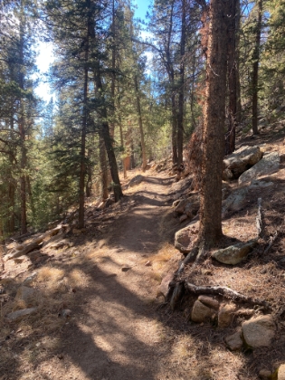 The Scout Line trail is one of the few 'hiker only' sections and has some great singletrack.