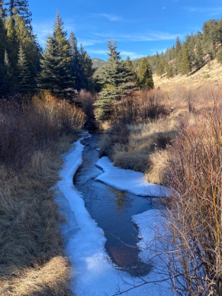The partially frozen stream flowing into the pond.