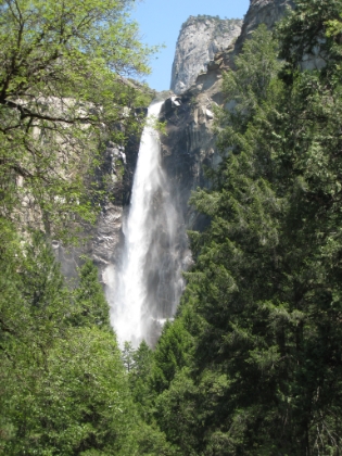 Yosemite '08 006