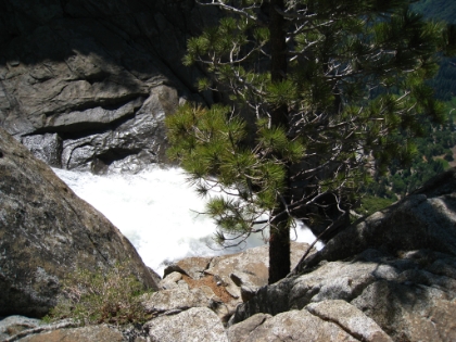 Yosemite '08 114