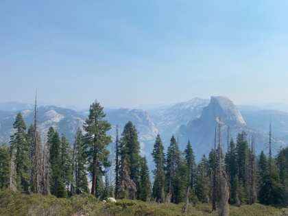 Heading out on the Pohono trail now towards Sentinel Dome.
