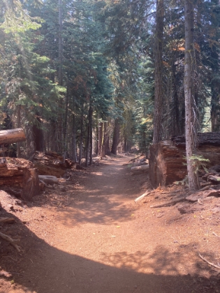 Continuing along the wide, well groomed Pohono trail towards Taft Point.