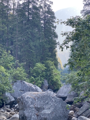 The Vernal Fall bridge. You can barely see the waterfall on the left of the cliff face.