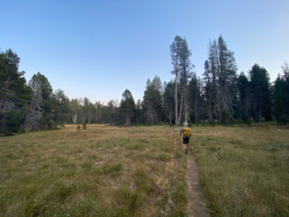 Awesome meadow trail.