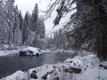 The Merced River amidst freshly fallen snow. It's early afternoon as we enter Yosemite Valley. We chose a longer route into the Valley to avoid heavier snow and chain requirements and made into the Valley without issue. We knew immediately that it was going to be well worth the effort to get here.