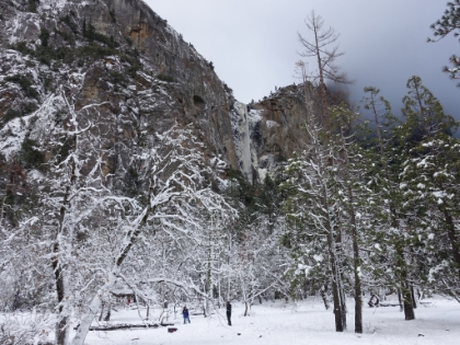Bridalveil Fall at 617' high. We're pleasantly surprised to see water flowing since this fall goes dry for much of the year.