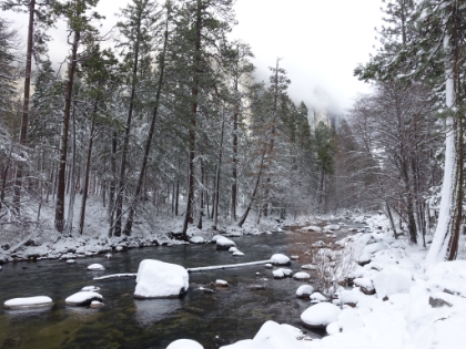 More views of tne Merced River winding through the snowy forest. My Dad had hoped to use this trip to get source material for future paintings and Christmas cards. He would end-up with a lifetime supply by the time this trip was done!