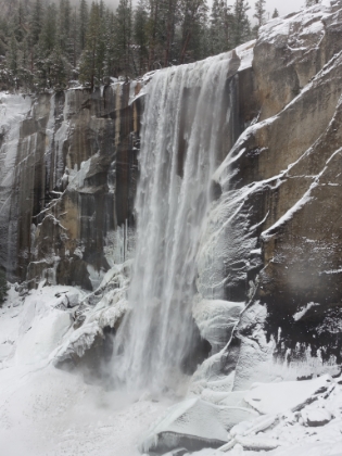 The last clear view before heading under some tree cover.