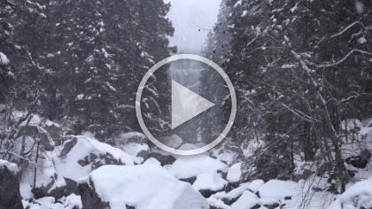 Video of Vernal Fall and the increasingly large snowflakes. For best performance, you can watch the video on  YouTube .