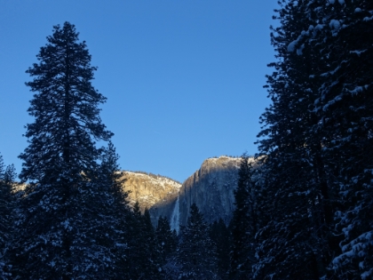 Yosemite Fall from Curry Village in the morning light. Evidently the mist freezes as its coming over the fall and creates a plume of snow against the cliff wall.