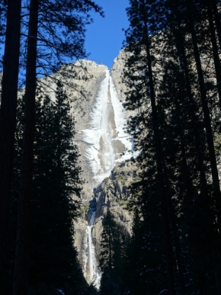 The full Upper and Lower Yosemite Falls from the path to the base of the falls. At a total of 2,425', the full Yosemite Falls is one of the tallest waterfalls in the world.