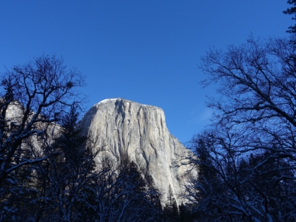El Capitan above the snowy trees.
