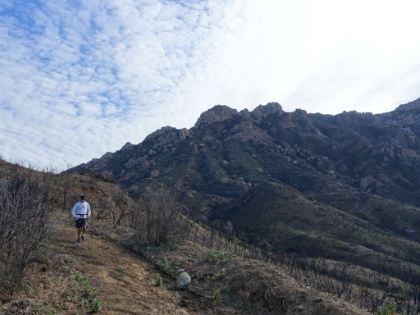 Dr. Rock coming down the Old Boney trail. In the background is Boney Peak, and also Sandstone Peak, the highest peak in the Santa Monica mountains, which I've run from the other side.