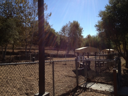 The trail starts at the aptly named dog park "Bark Park".