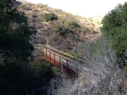I'm guessing this bridge was built primarily for the mountain bikers.