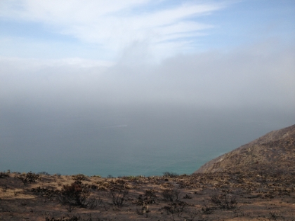 The Mugu Peak trail has some of the most amazing views in the area. 1,000' above the water, less than a half mile from the surf. Unfortuantely, it was a partially overcast day. On a clear day, this is probably the best ocean view in Southern CA.