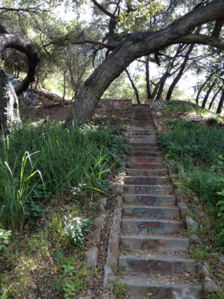There are several flights of stairs here that are highlighted in the trail guides.