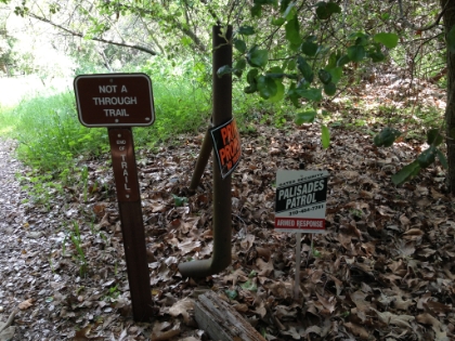 The Rustic Canyon trail ends at a large Boy Scout camp about halfway up the canyon. They seem pretty serious about it, and there are people in the camp, so I'm hesitant to ignore the signs.