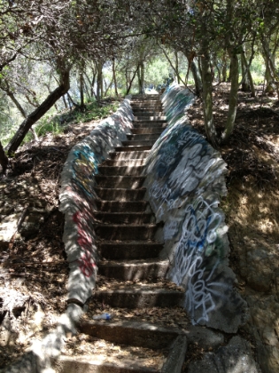 Not quite Dipsea, but fun stairs to run nonetheless.