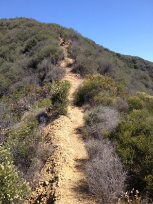 A typical section of trail climbing steeply along the ridge.