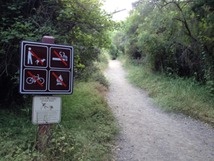 No bikes, no dogs, and no smoking on the trail. A trail runner's dream!