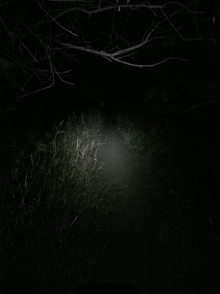 Occasionally I will run Temescal Rivas at night. Here's what my view looks like for most of the run. Definitely an adrenaline rush in the pitch black with the sounds of the woods all around.